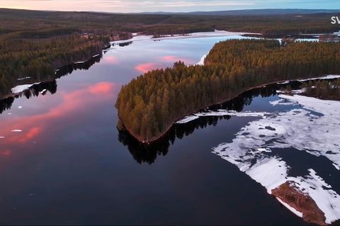 Luftaufnahme eines von den schwedischen Kameras observierten Elch-Gebiets