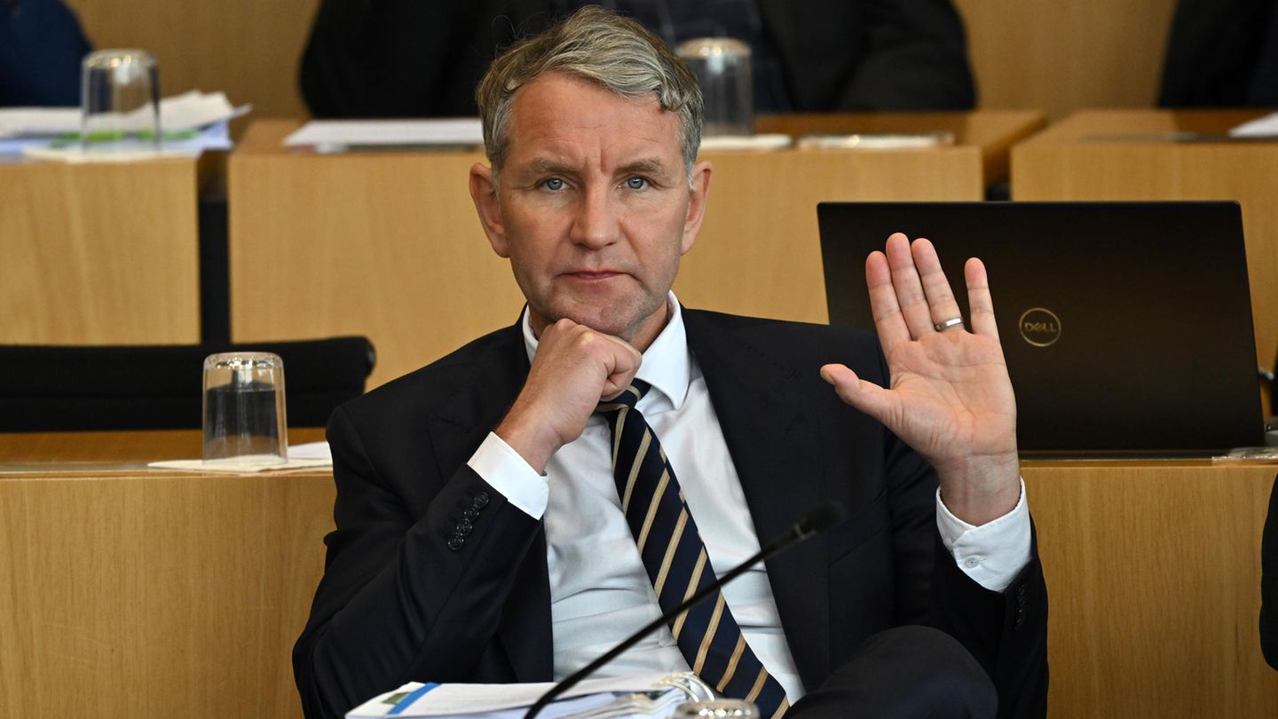 AfD-Fraktionschef Björn Höcke im Plenarsaal des Thüringer Landtags