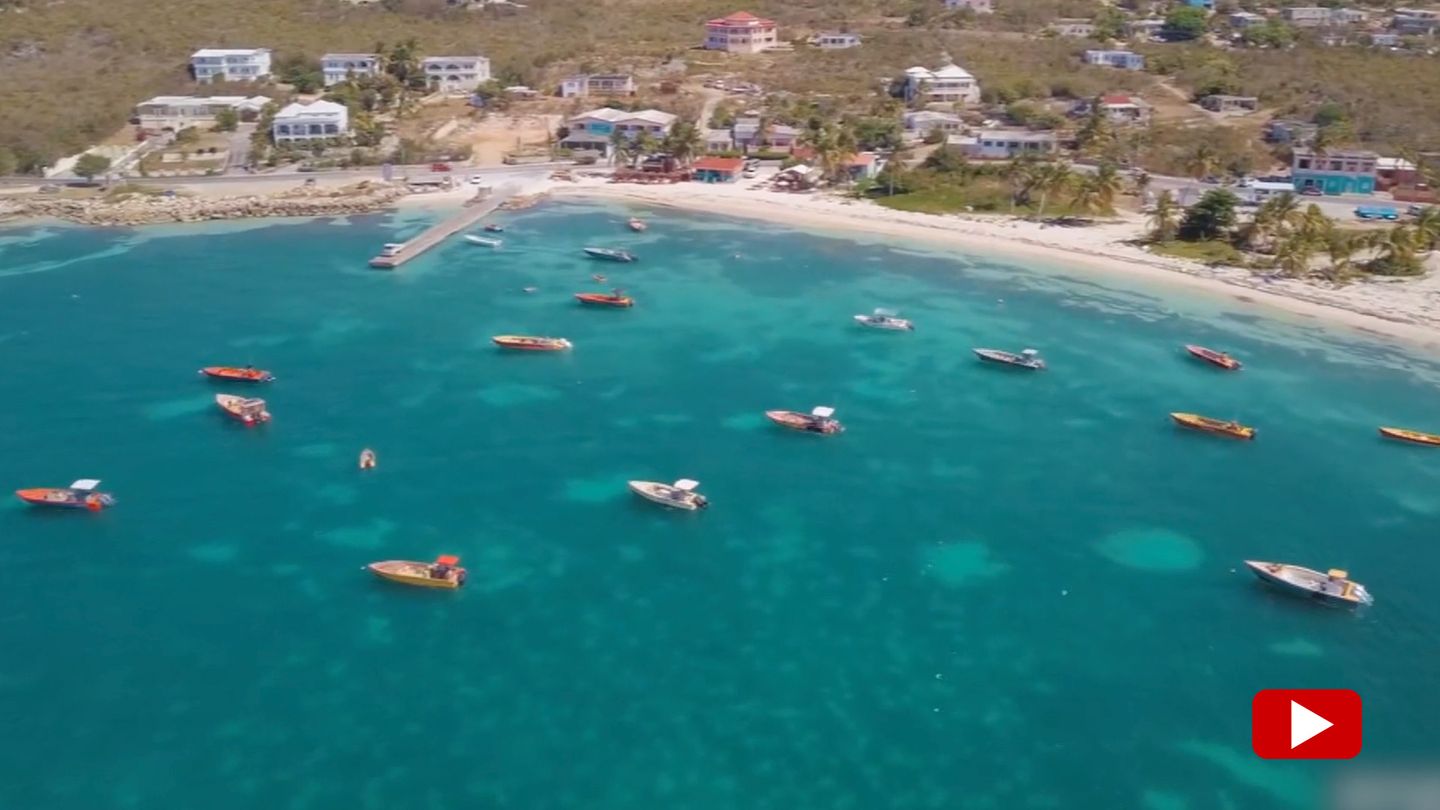 Anguilla: Hype um Künstliche Intelligenz: Diese Karibikinsel macht Millionen mit AI-Domain