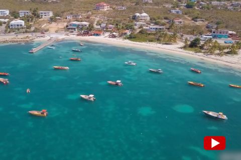 Dank Hype um Künstliche Intelligenz: Anguilla macht Millionen mit AI-Domain