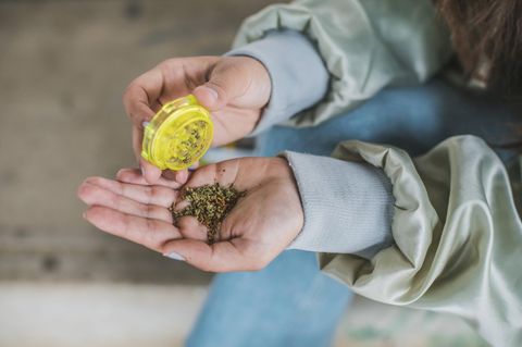 Eine Hand hält ein Häufchen Cannabis, die Nägel sind blau lackiert