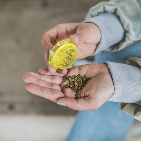 Eine Hand hält ein Häufchen Cannabis, die Nägel sind blau lackiert