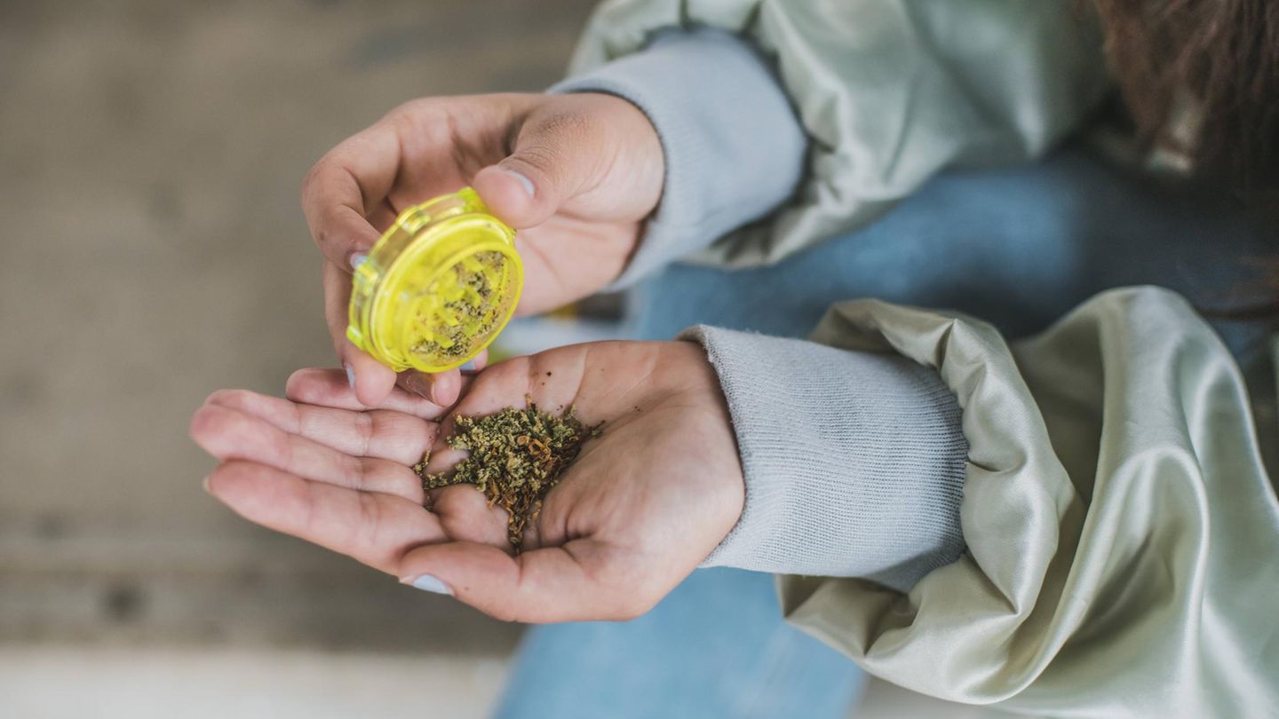 Eine Hand hält ein Häufchen Cannabis, die Nägel sind blau lackiert