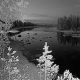 Nachtaufnahme von Wildtierkamera im Wald mit Blick auf einen Fluss.