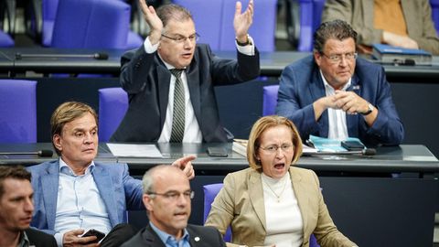 Die grölende AfD-Fraktion im Bundestag