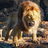 Filmszene aus dem Film "Mufasa - Lion King"