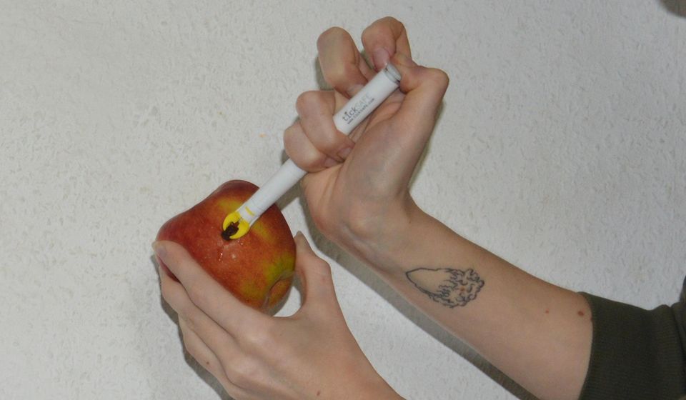 Zeckengreifer Ticksafe im Test mit einem Apfel und einer Rosine