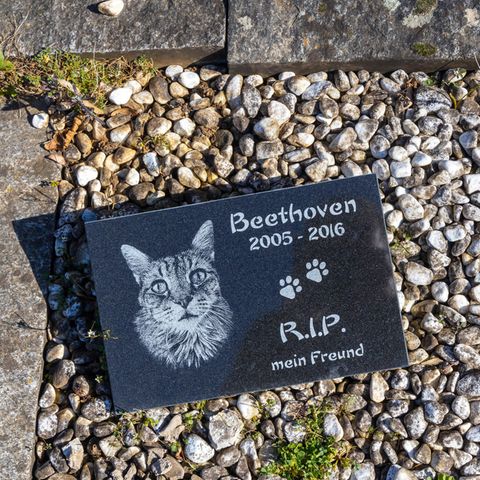 Tierbestattung auf dem Tierfriedhof Kornwestheim: das Grab einer Katze