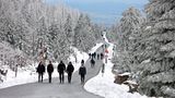 Menschen laufen im Harz an schneebedeckten Fichten entlang