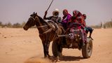Adre, Tschad. Neu angekommene Flüchtlinge, die vor den Kämpfen in Darfur fliehen, kommen an der Grenze zwischen Sudan und Tschad an. Seit Beginn des jüngsten Konflikts zwischen den paramilitärischen Rapid Support Forces (RSF) und den sudanesischen Streitkräften (SAF), der im März 2023 begann, haben über 600.000 neue Flüchtlinge die Grenze aus Darfur im Sudan in den Tschad überquert. Die Gesamtzahl der Flüchtlinge, einschließlich derjenigen aus früheren Konflikten, liegt mittlerweile bei 1,2 Millionen.