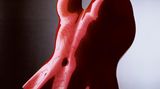 Ein roter Torso zum Anziehen