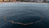 Surfer un Australien liegen auf dem Wasser auf ihren Brettern, sie bilden ein Herz