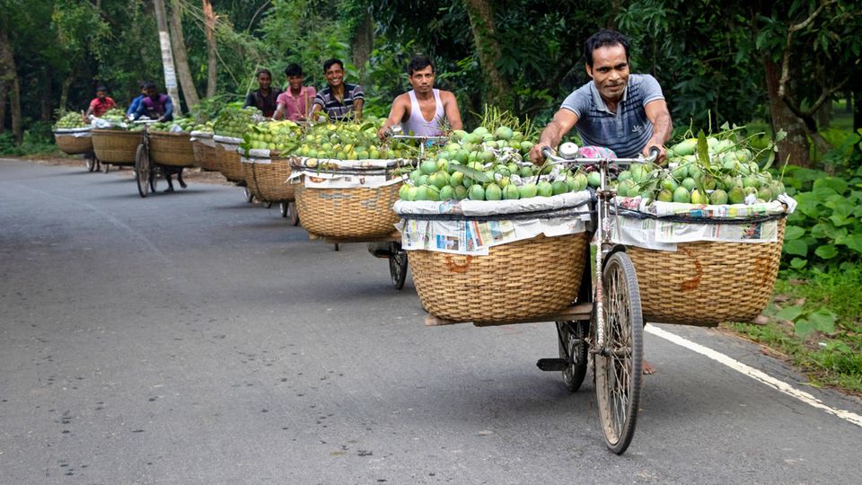 Eine Gruppe Bauern schiebt lächelnd Fahrräder mit riesigen Körben durch einen Wald.