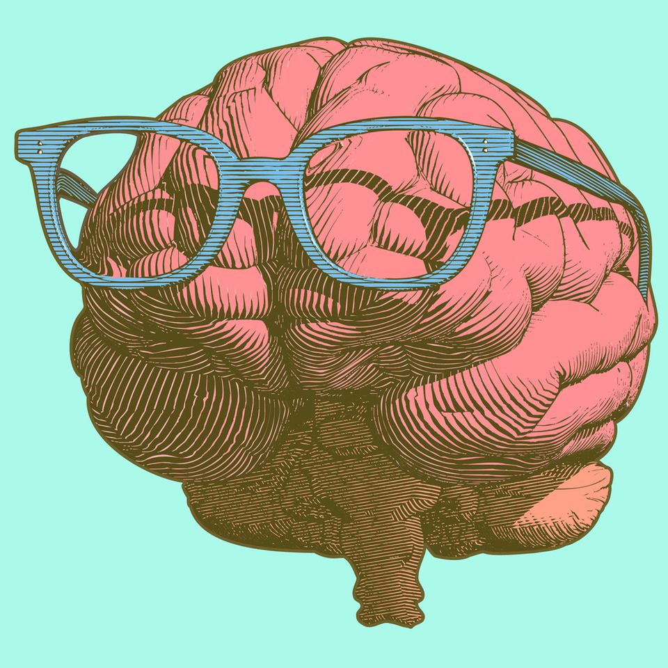 Illustration von einem rosaroten Gehirn mit einer blauen Lesebrille vor grünem Hintergrund