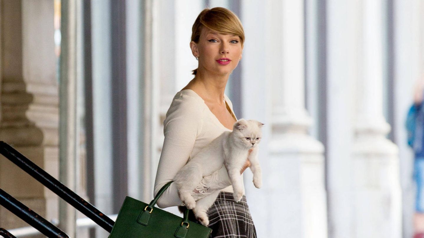 Taylor Swift mit einer ihrer Katzen auf dem Arm