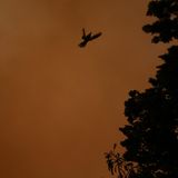 Nun gaben Meteorologen Entwarnung: Es werde erwartet, dass das Phänomen im Laufe dieses Mittwochs nachlasse, da Westwinde den Staub nach Osten trieben. Zurück bleibt dann eine rote Schicht feinsten Staubes, der überall Autos und Balkone bedeckt und an den Fenstern klebt. 