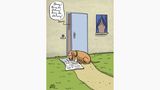 stern-Zeichnerin: Buch-stäblich lustig – Cartoons von Dorthe Landschulz