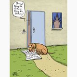 stern-Zeichnerin: Buch-stäblich lustig – Cartoons von Dorthe Landschulz