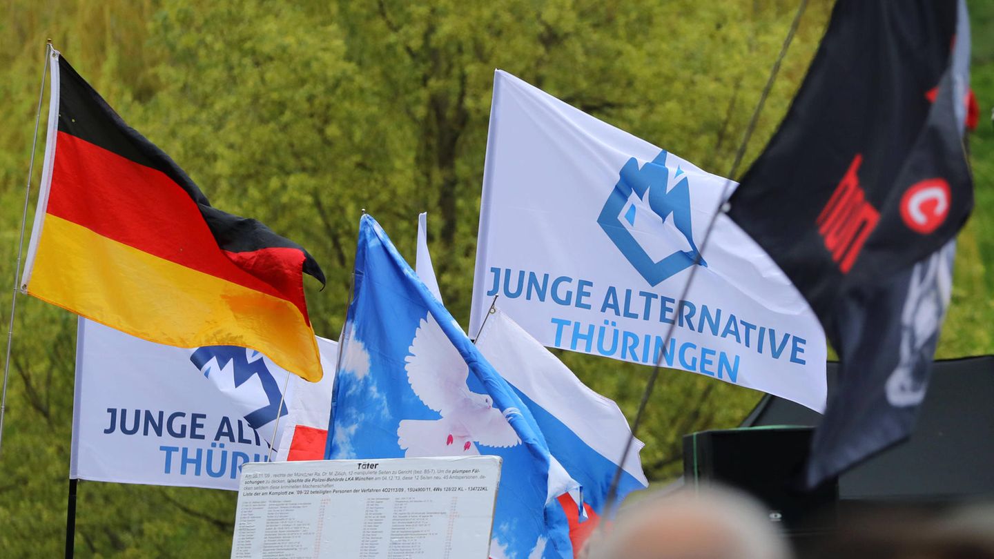 Fahnen auf einer AfD-Demo: Die Deutschlandfahne, eine Fahne der Jungen Alternative Thüringen, eine Fahne mit der Friedenstaube