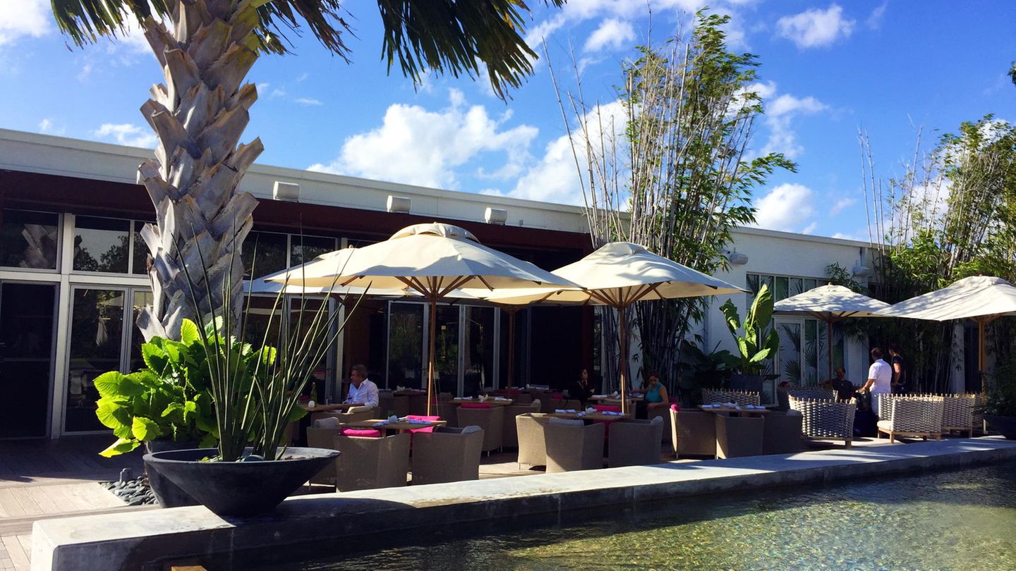 "Plants Food and Wine" Restaurant von Matthew Kenney