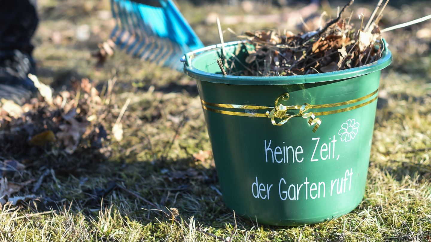 Grüne Oase selbst gestalten: Tipps für Hobby-Gärtner: Experte verrät, wie der Garten dieses Jahr gelingt