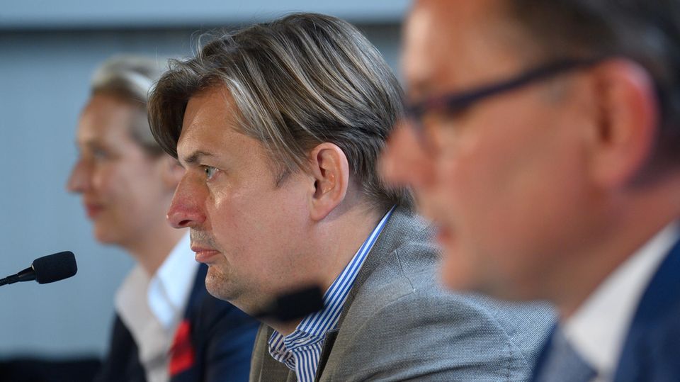 Alice Weidel, Maximilian Krah, Tino Chrupalla (from left) at a press conference on the sidelines of the AfD European election meeting in Magdeburg in the summer of 2023.