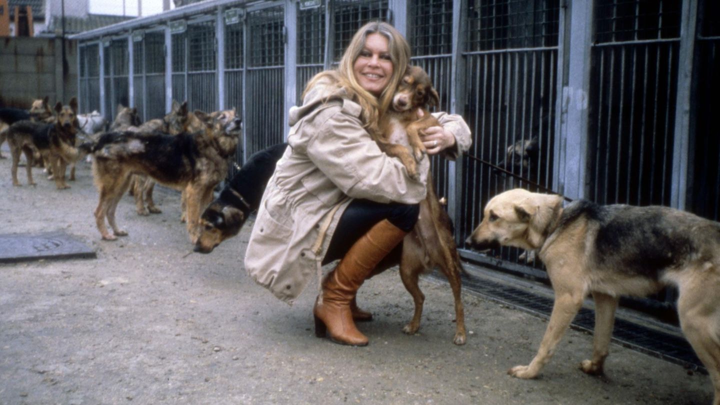 Brigitte Bardot 1986 in Gennevilliers, Frankreichs ältestem Tierheim