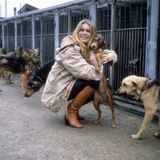 Brigitte Bardot 1986 in Gennevilliers, Frankreichs ältestem Tierheim