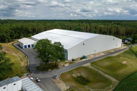 Mitten in Niedersachsen: Altes Wehrmacht-Depot bereitet Anwohnern Sorgen