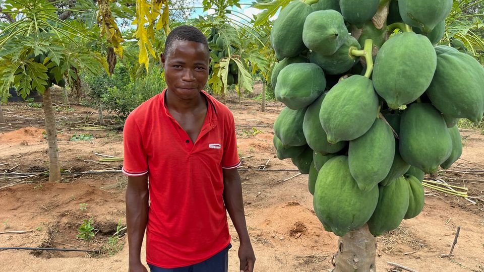 Update April 2024: Mohammed Ndolo auf der Farm, die er als Manager beaufsichtigt Mohammed Ndolo auf der Farm, die er als Manager beaufsichtigt