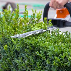 Gartenrecht: Bei diesen Fehlern drohen hohe Strafen