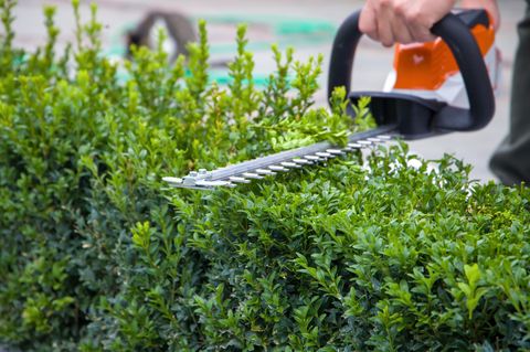 Gartenrecht: Bei diesen Fehlern drohen hohe Strafen