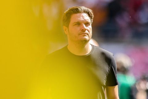 Porträt von BVB-Trainer Edin Terzic