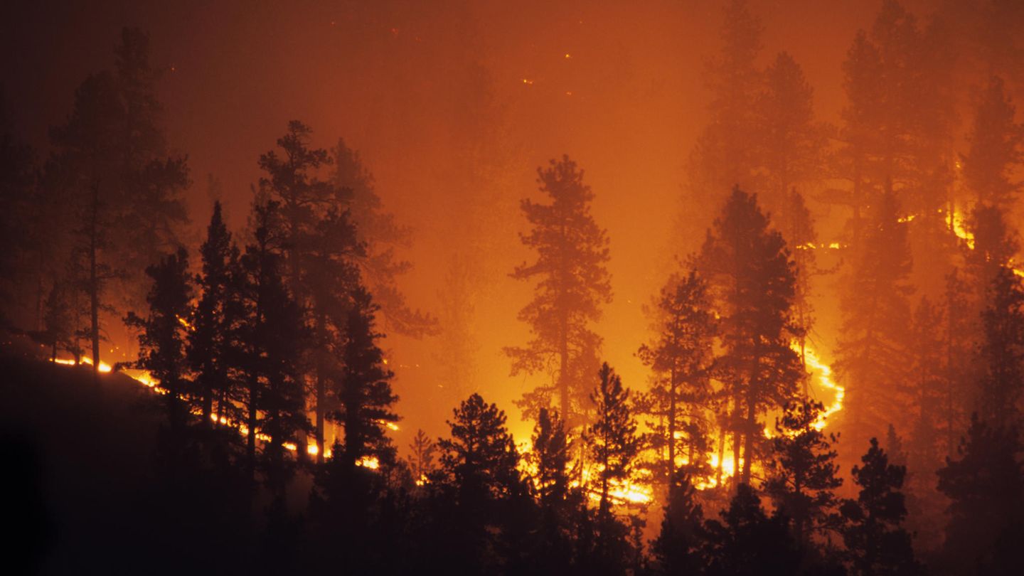 Sicher unterwegs: Wo brennt es dieses Jahr? Karte zeigt Waldbrandgefahr in europäischen Urlaubsländern