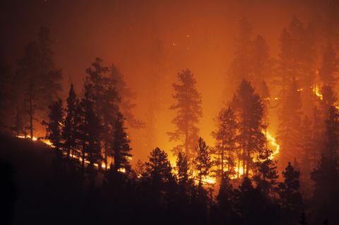 Waldbrand