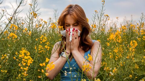 Frau schnäuzt sich auf Blumenwiese die Nase