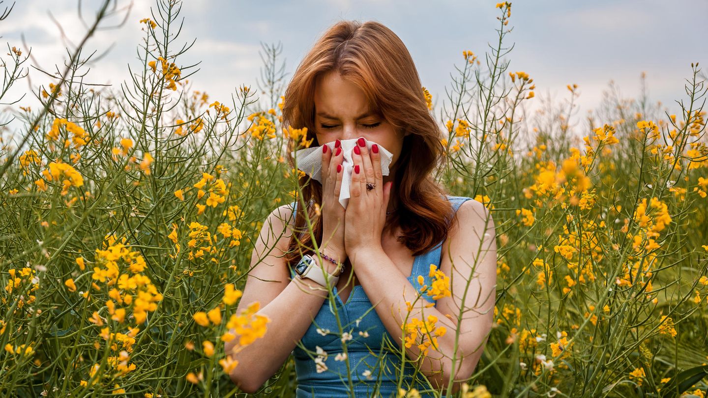 Hay fever: Why some have symptoms but not allergies