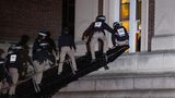 Mit einem taktischen Fahrzeug drang die New Yorker Polizei mit hunderten Beamten ein, um das Protestlager zu räumen