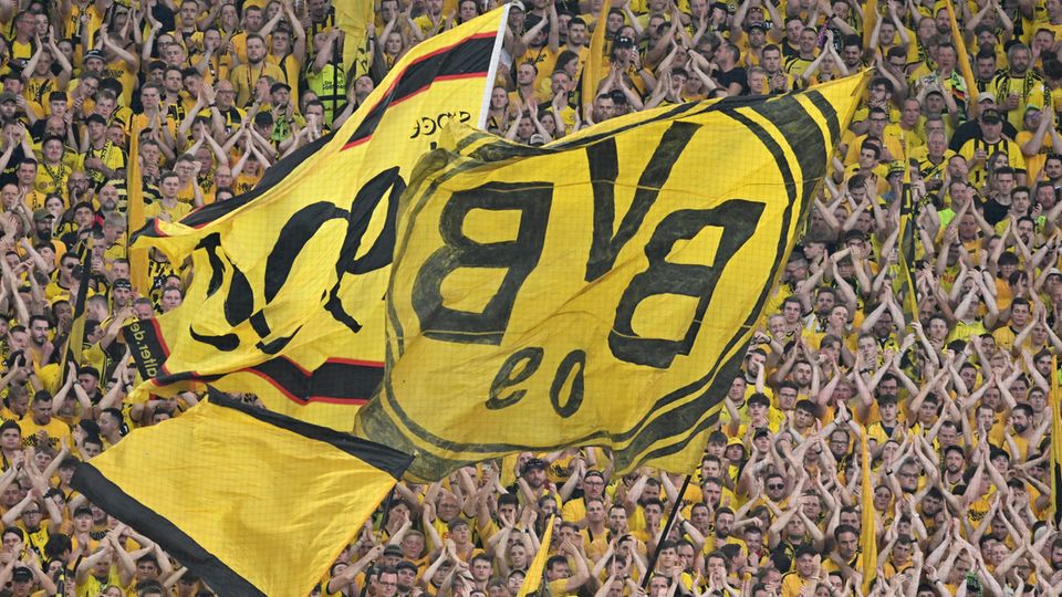 BVB-Fans im Stadion