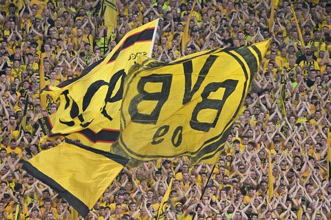 Fans des BVB im Stadion