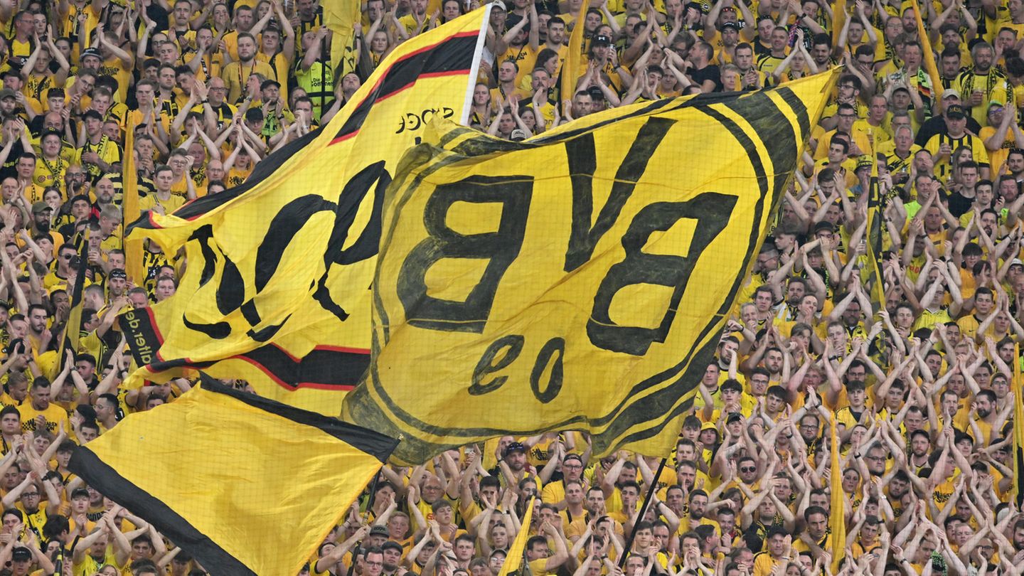 Fans des BVB im Stadion