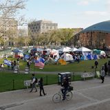 Auf dem Campus in Cambridge des Massachusetts Institute of Technology (MIT) stellten Protestierende ein ganzes Camp auf