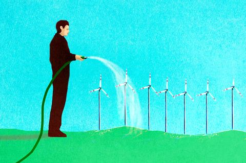 Windräder helfen beim Klimaschutz. Aber die Folgen für die Natur sind alles andere als positiv