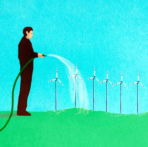 Windräder helfen beim Klimaschutz. Aber die Folgen für die Natur sind alles andere als positiv