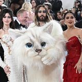 Jared Leto im Katzenkostüm, neben ihm stehen Anne Hathway und Salma Hayek