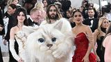 Jared Leto im Katzenkostüm, neben ihm stehen Anne Hathway und Salma Hayek