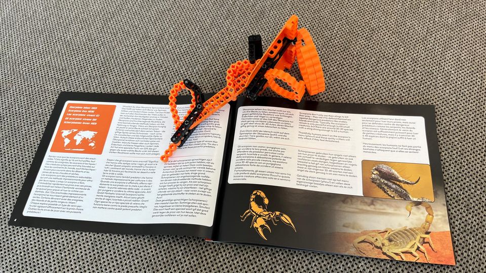 Die Höhle der Löwen: Anleitung und fertiger Skorpionstachel