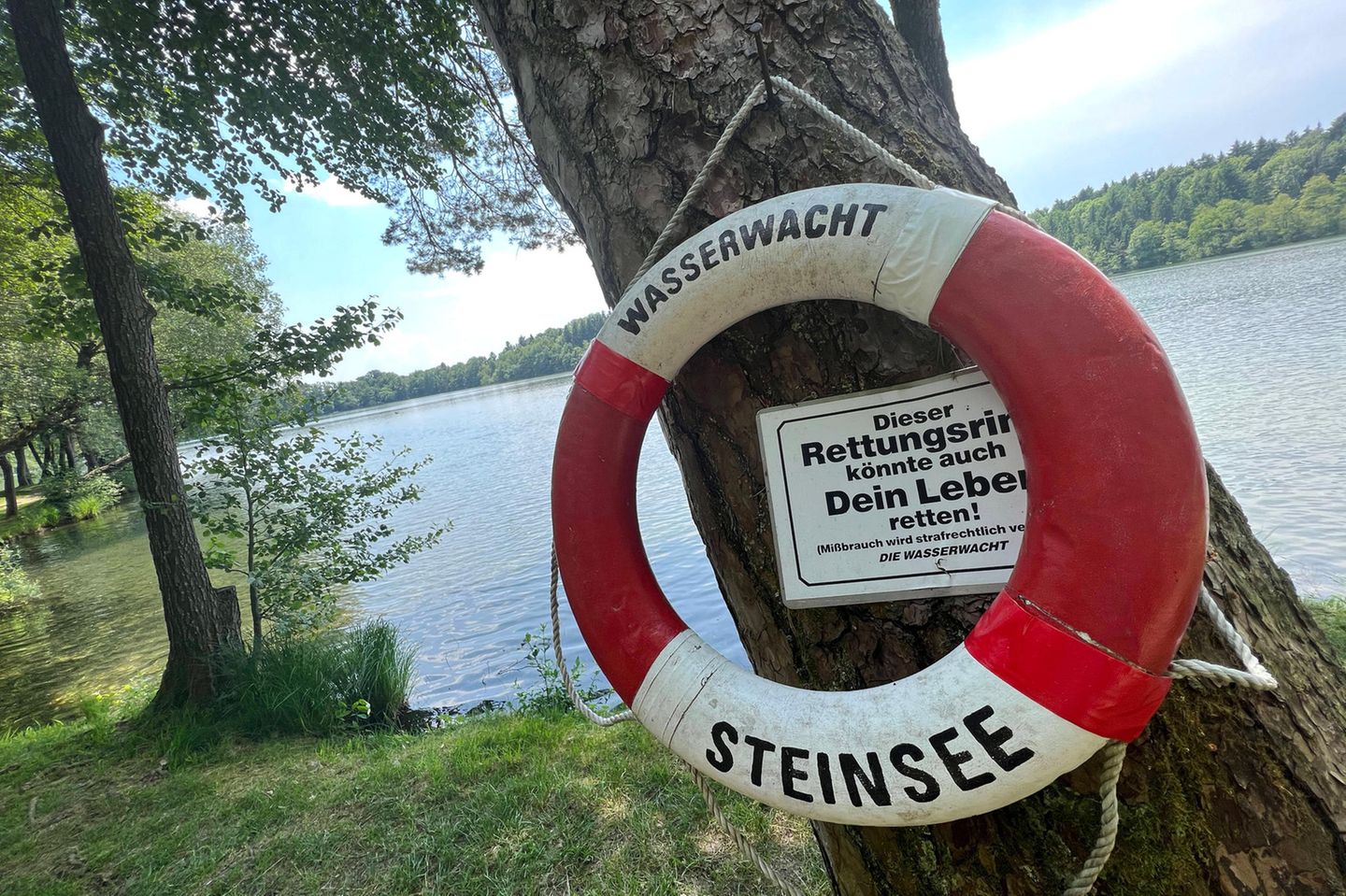 Rettungsring an einem Baum