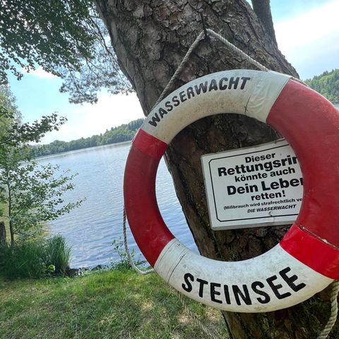 Rettungsring an einem Baum