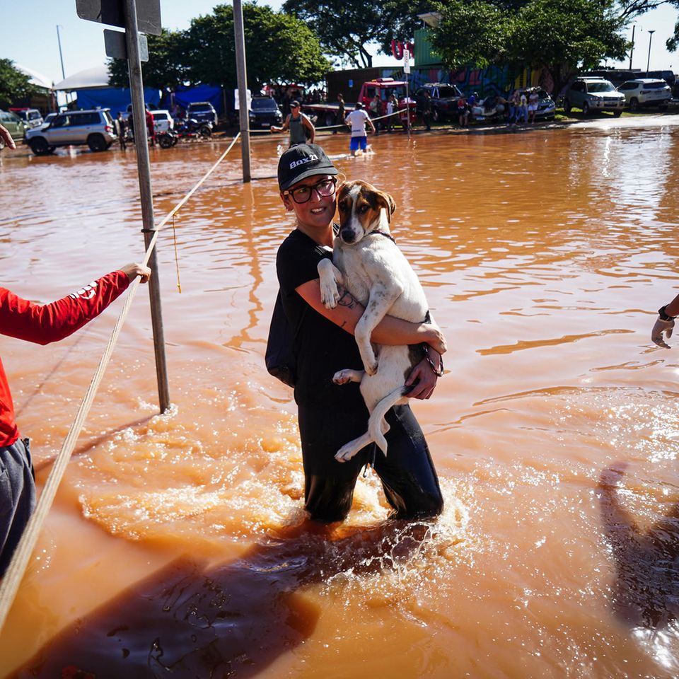 Eine Frau trägt ihren Hund auf dem Arm